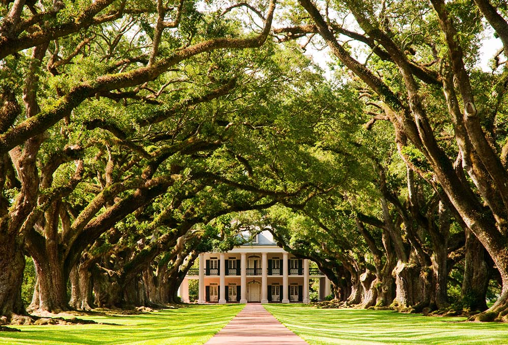 Discover old real world charm down in the Frech District