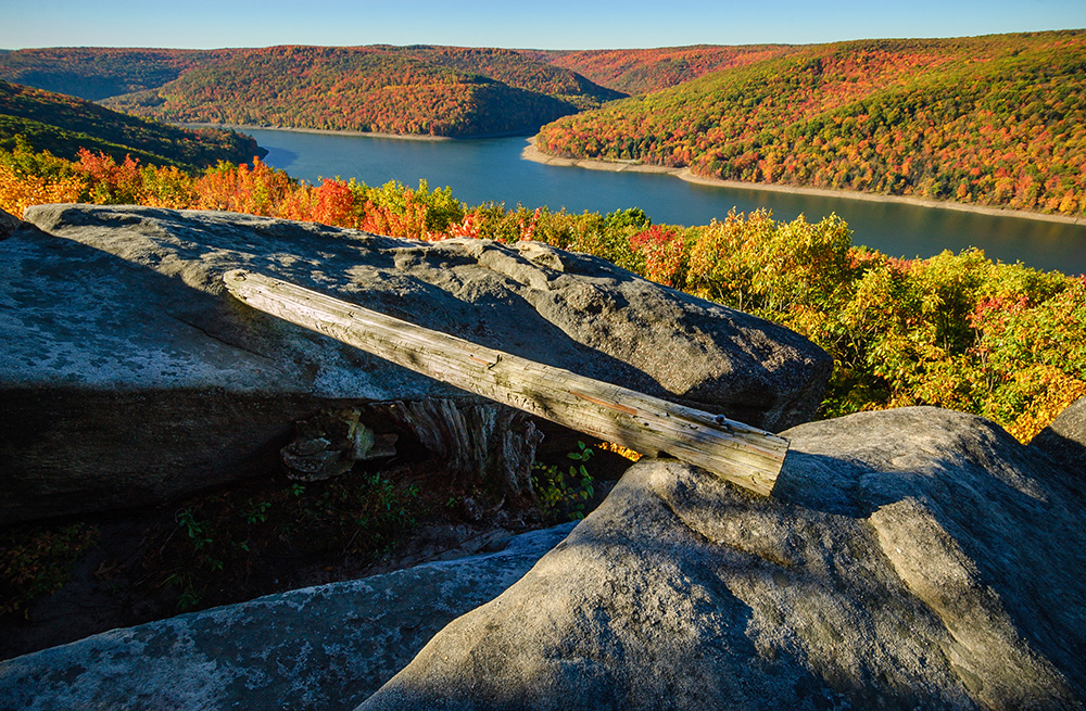 Allegheny National Forest in Pennsylvania