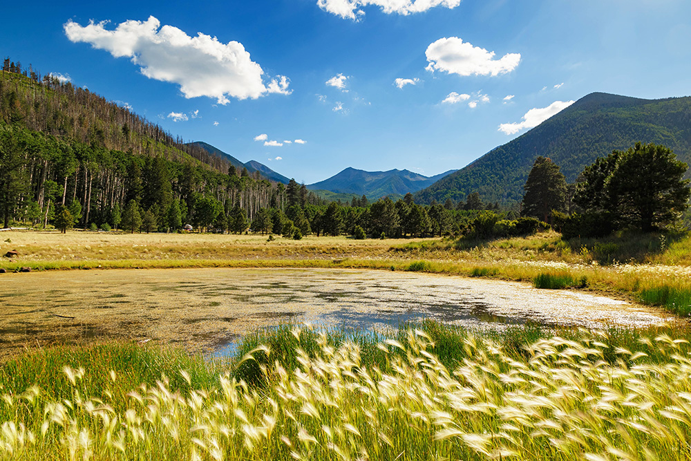 Lockett Meadow Flagstaff, Arizona