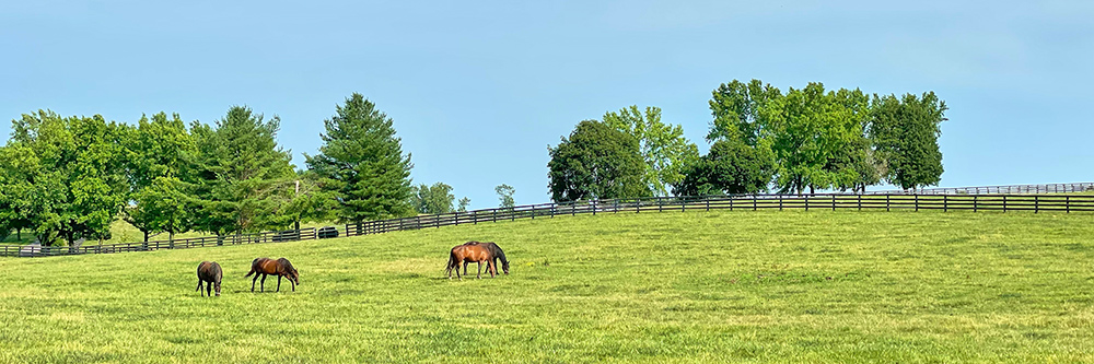 Kentucky is an excellent destination for equestrian enthusiasts.